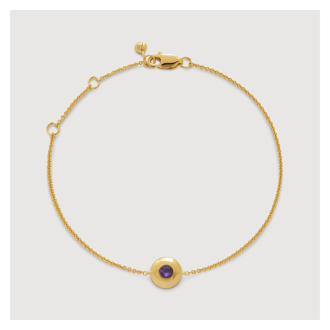 Amethyst Gold Plated February Birthstone Necklace main product photo