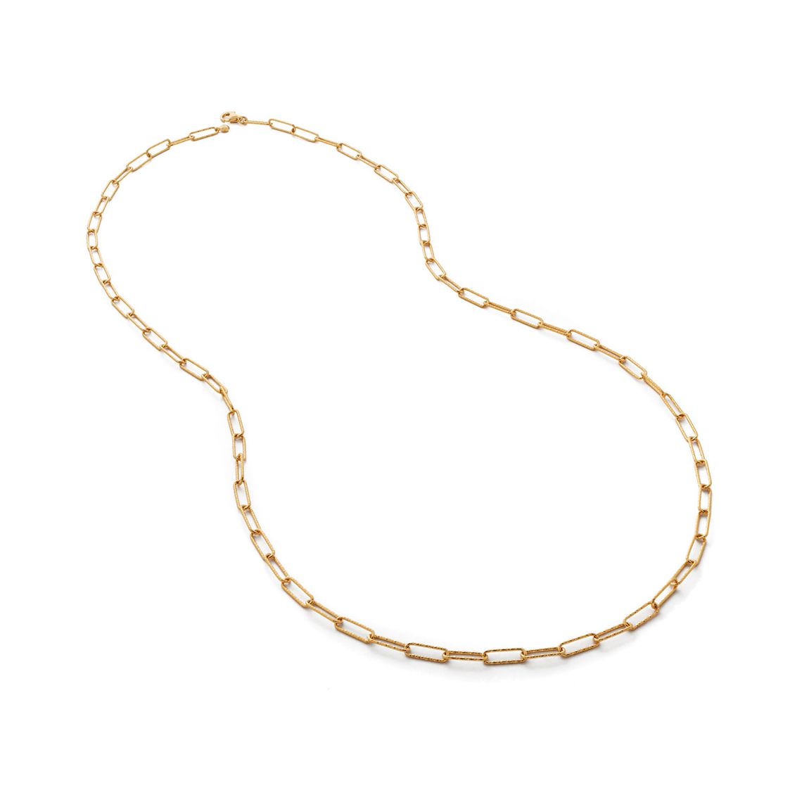 Gold Alta Textured Chain Necklace main product photo