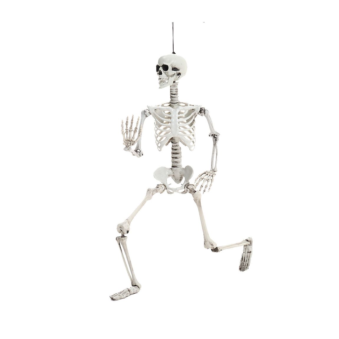 Posable Joints Skeleton Halloween Decoration main product photo