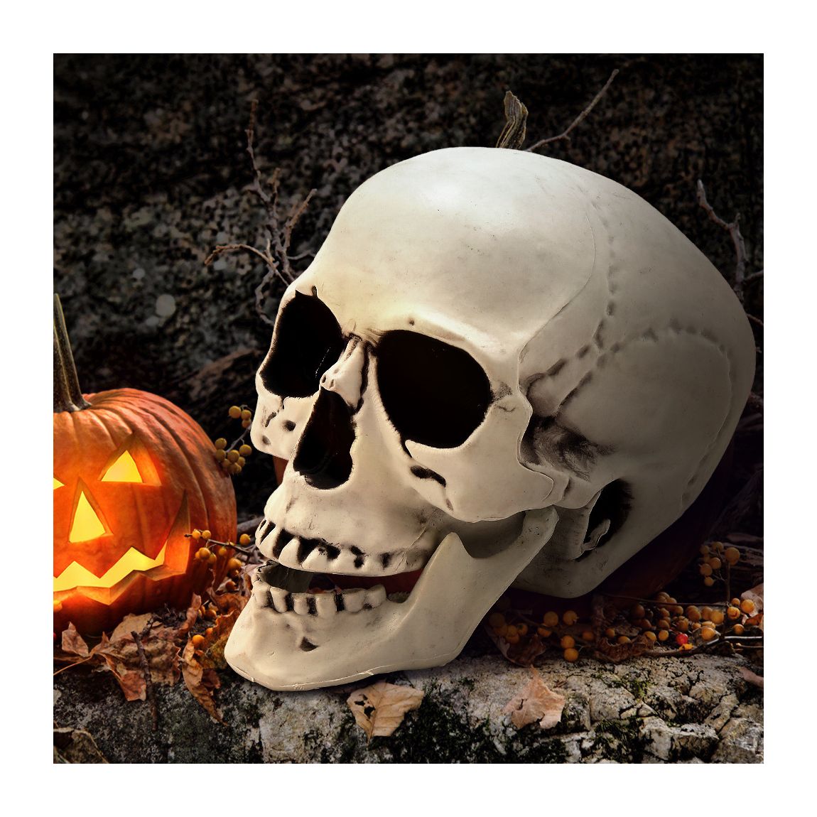 Halloween Plastic Skull Decoration main product photo