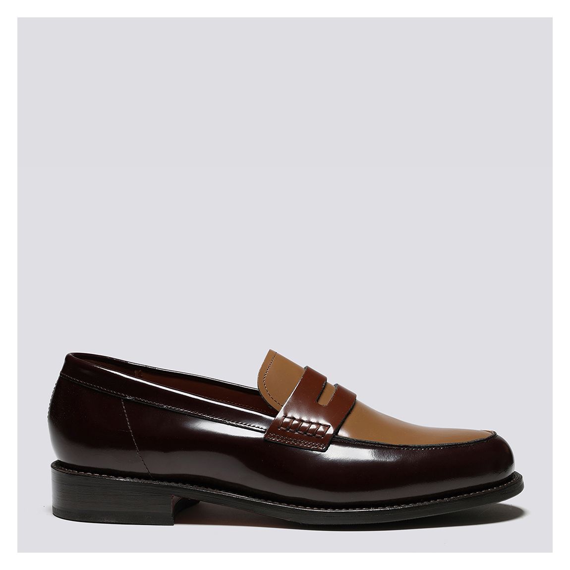 Men's Brown Multi Jago Glossy Penny Loafer main product photo