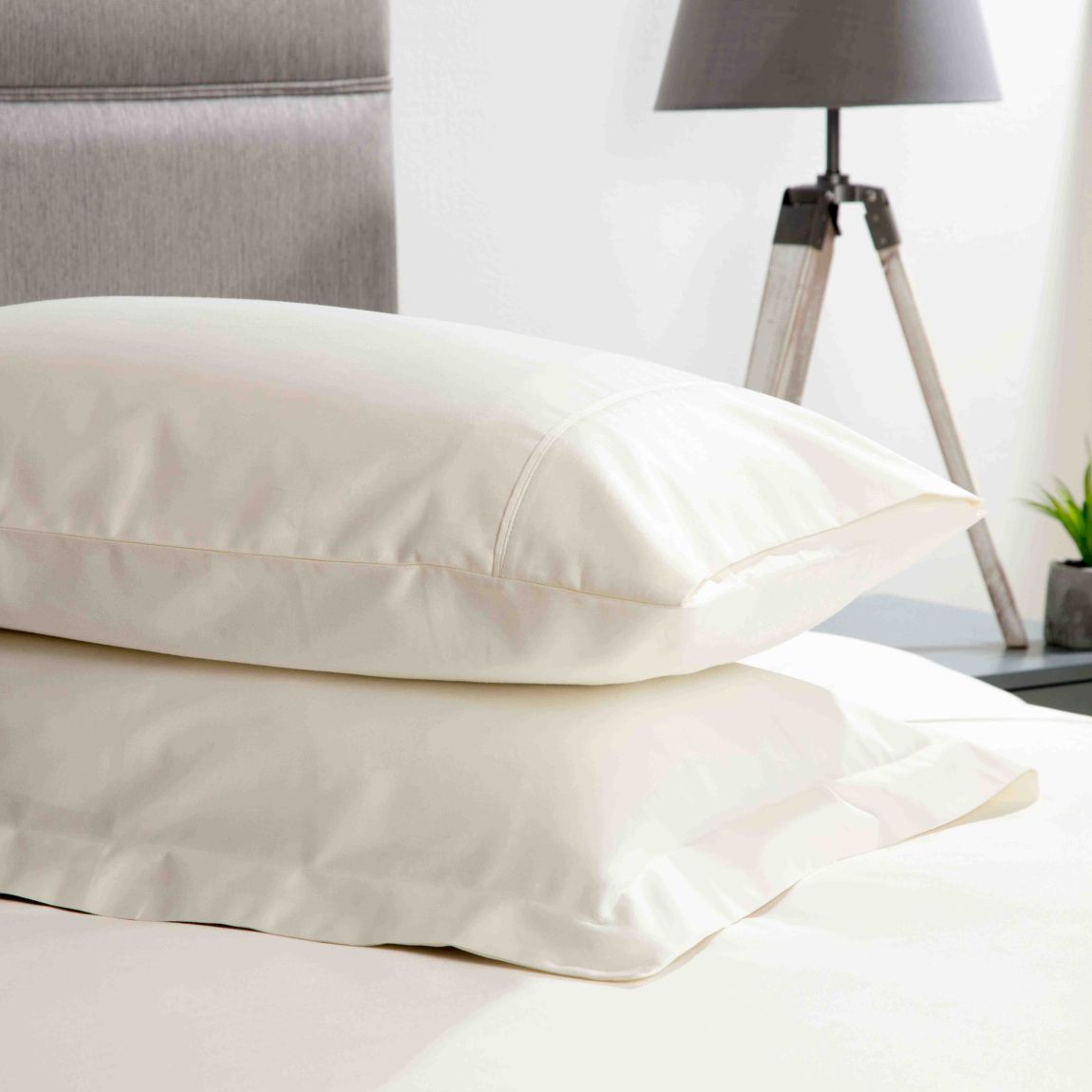 Belledorm 600 Thread Count 100% Egyptian Cotton Oxford Pillowcase Ivory main product photo