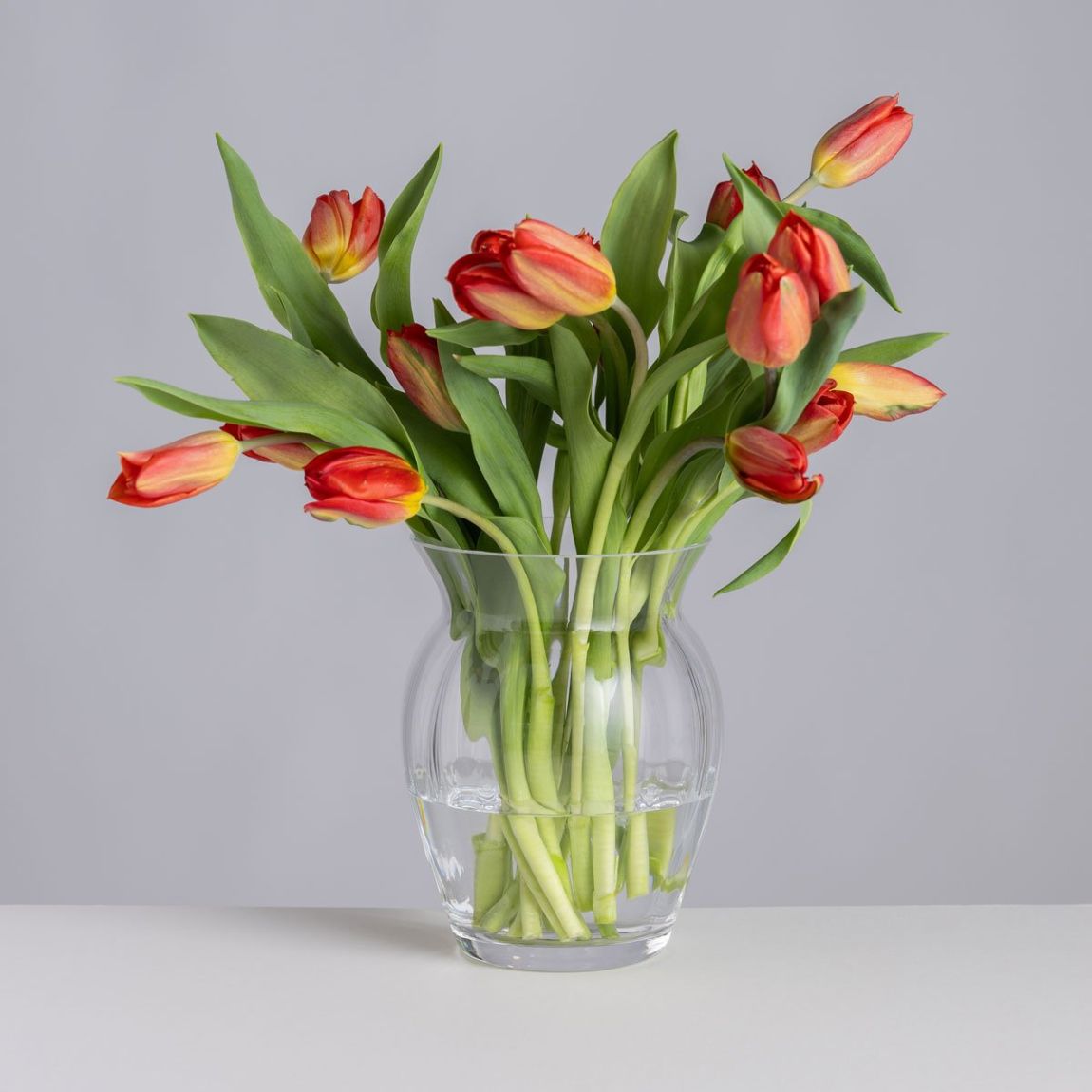 Florabundance Tulip Vase main product photo