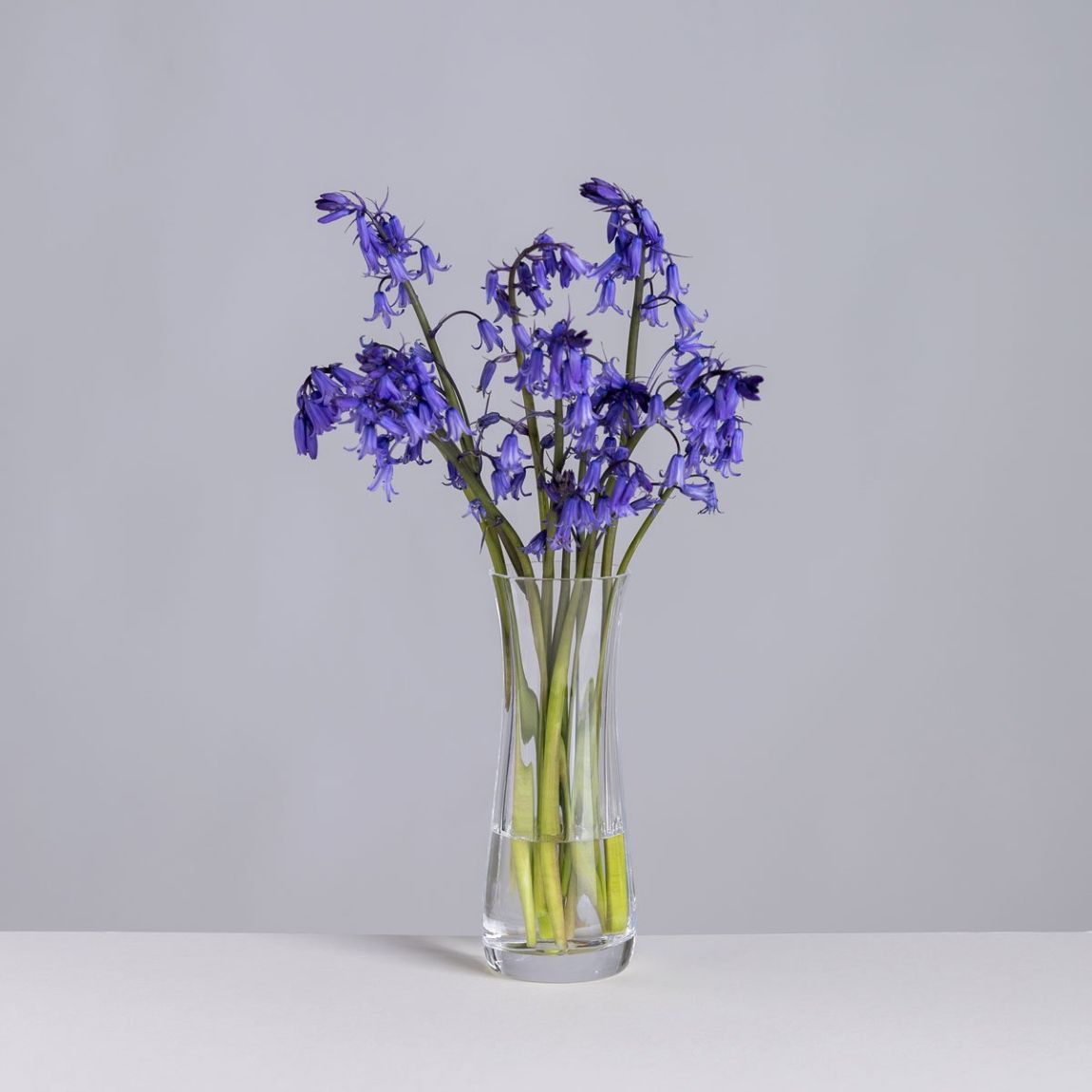 Florabundance Bluebell Vase main product photo