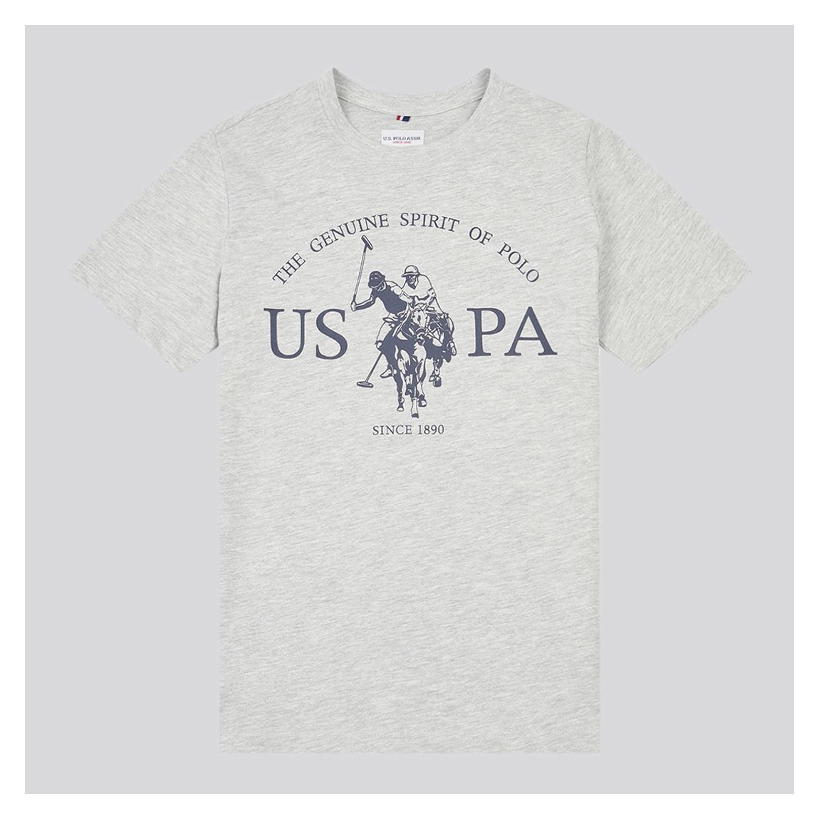 Grey USPA Print Graphic T-Shirt main product photo