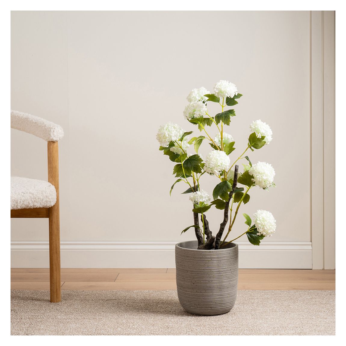 Cream Potted Hydrangea Plant, 85cm main product photo