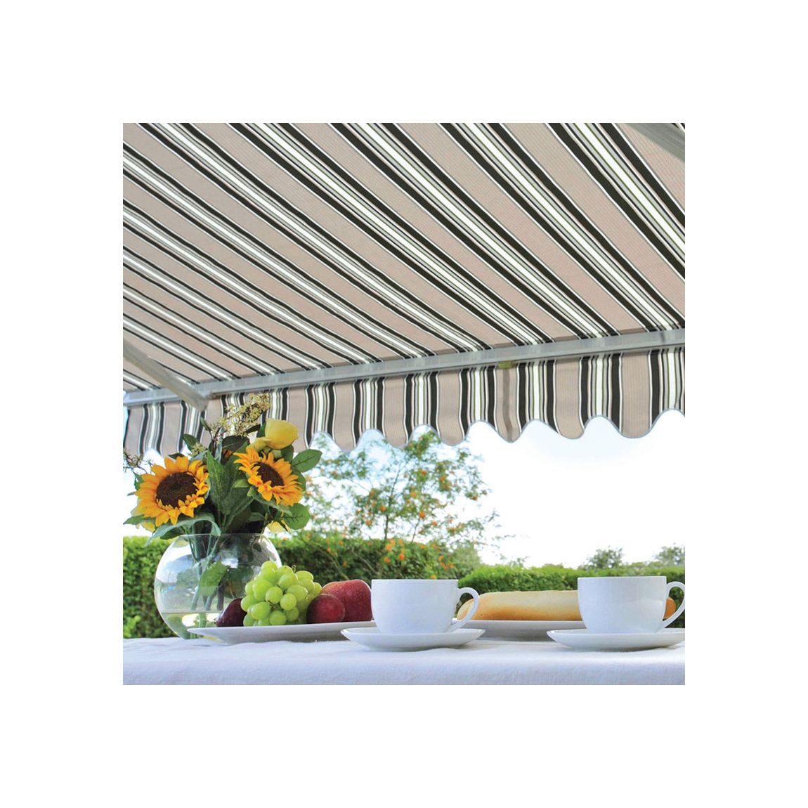 3m Greenhurst Ascot Retractable Awning main product photo
