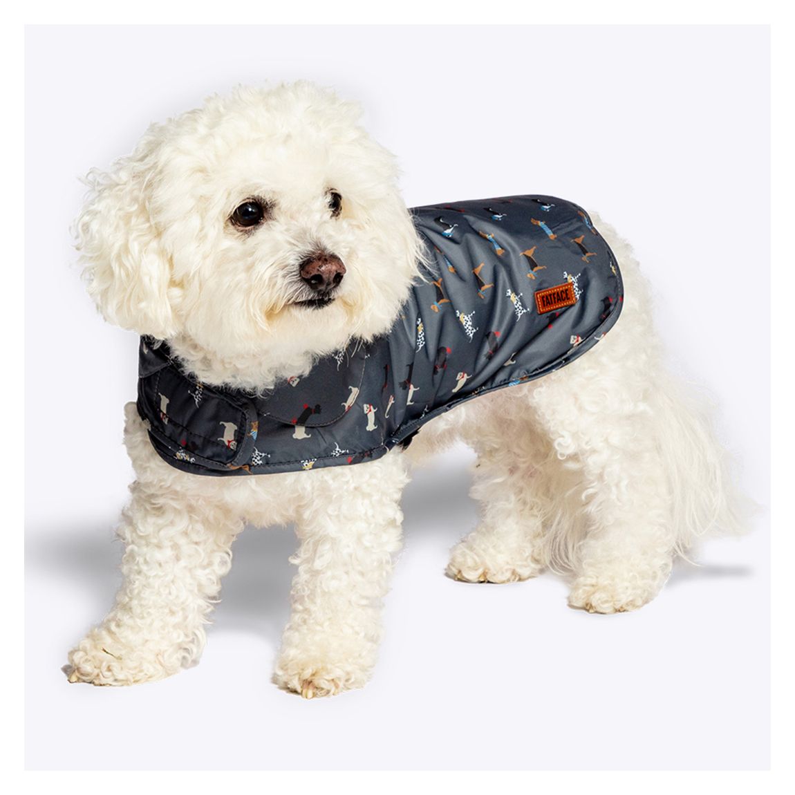 FatFace Marching Dogs Raincoat, 35cm main product photo