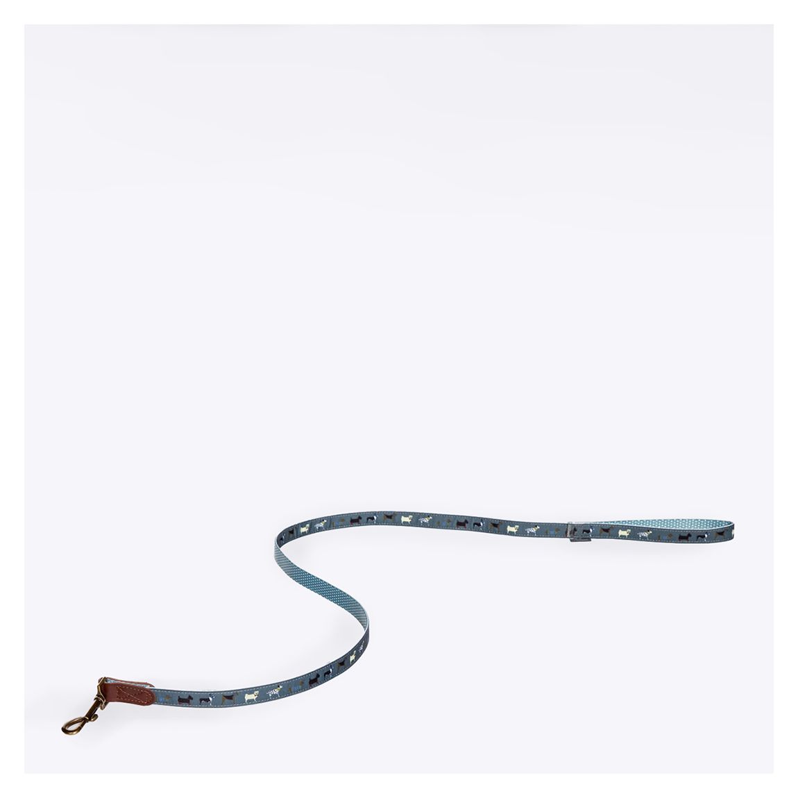 FatFace Medium Marching Dogs Lead, 2cm main product photo