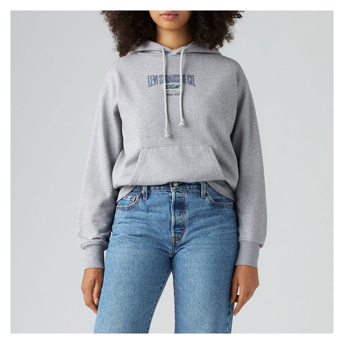 Grey Graphic Heritage Hoodie main product photo