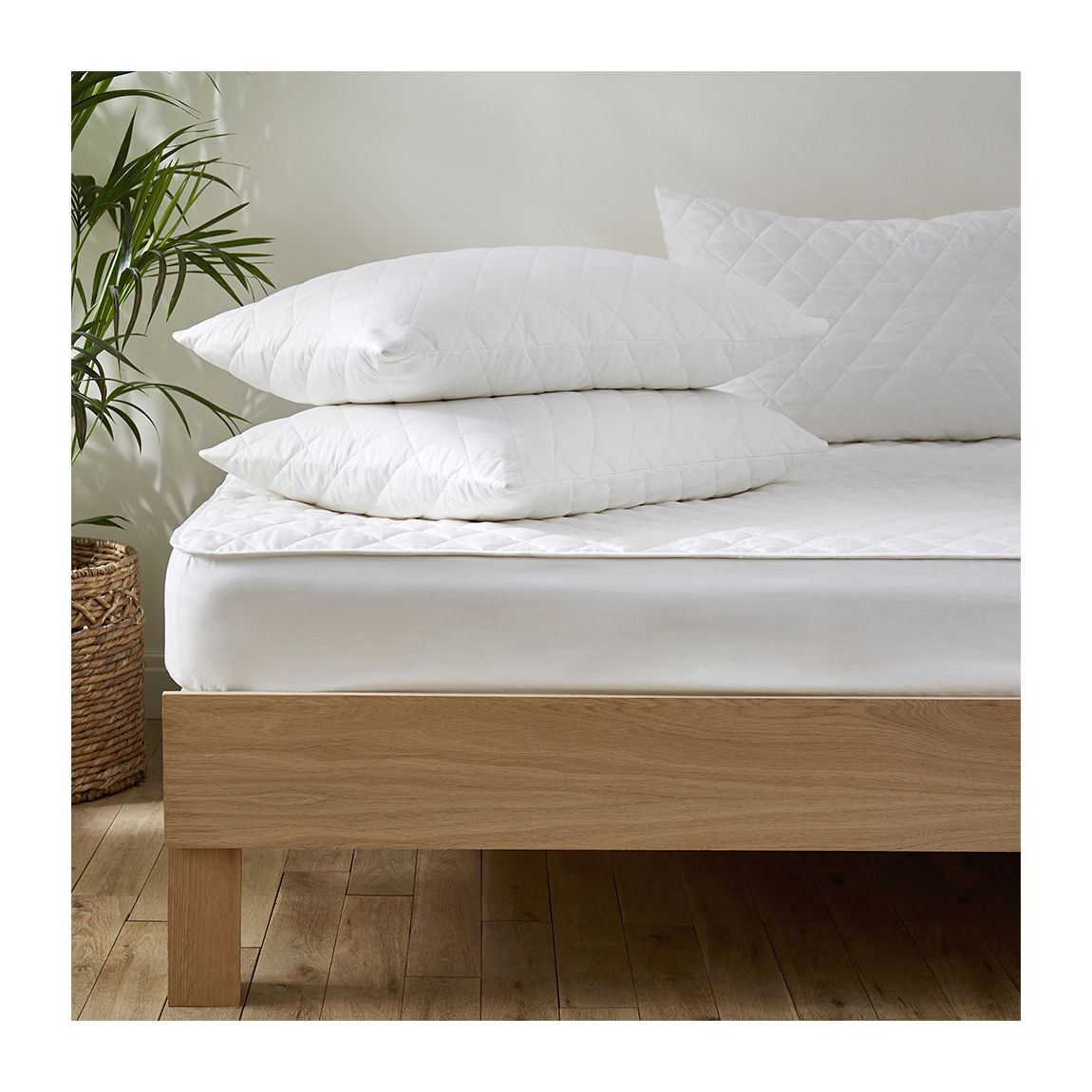 Cotton Quilted Mattress and Pillow Protector Set - Double main product photo