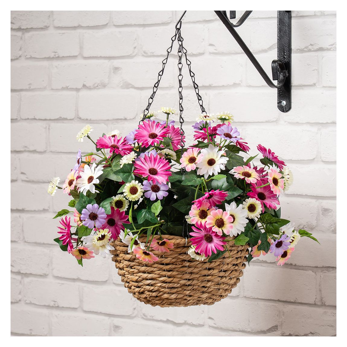 Mixed Daisy Hanging Basket, 56cm main product photo