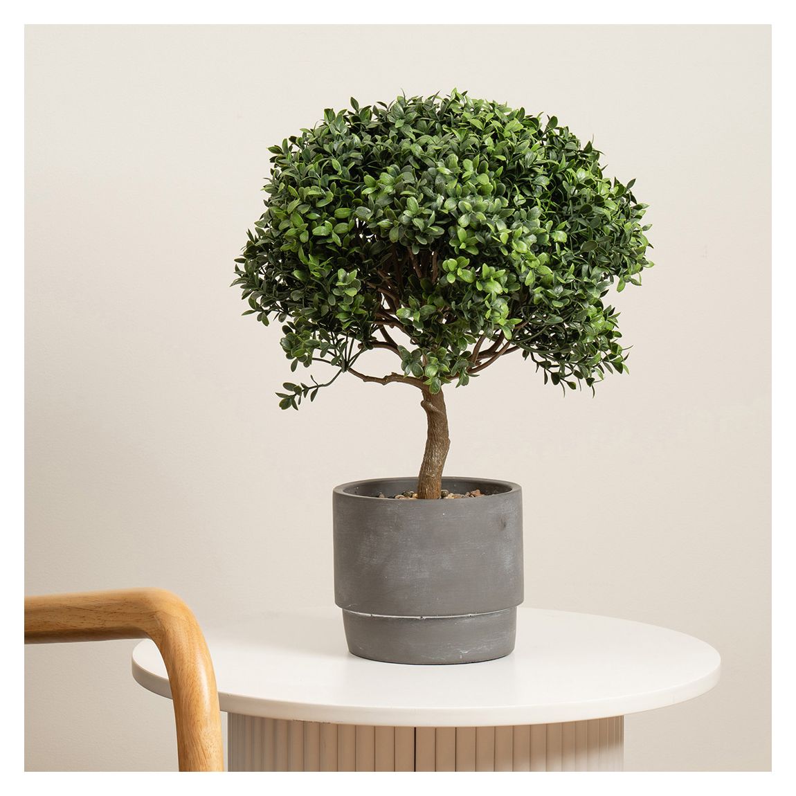 Mini Topiary Plant in Cement Pot, 45cm main product photo