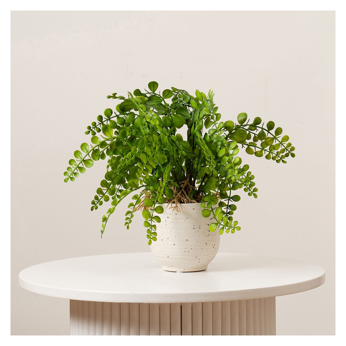 Fern in Speckled Ceramic Pot, 28cm main product photo