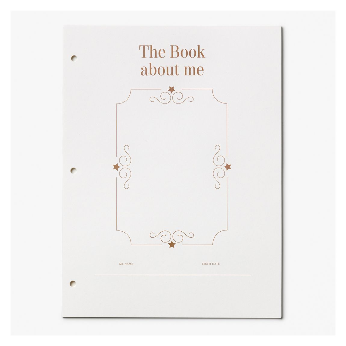 Baby Album Insert Paper - My First Year main product photo