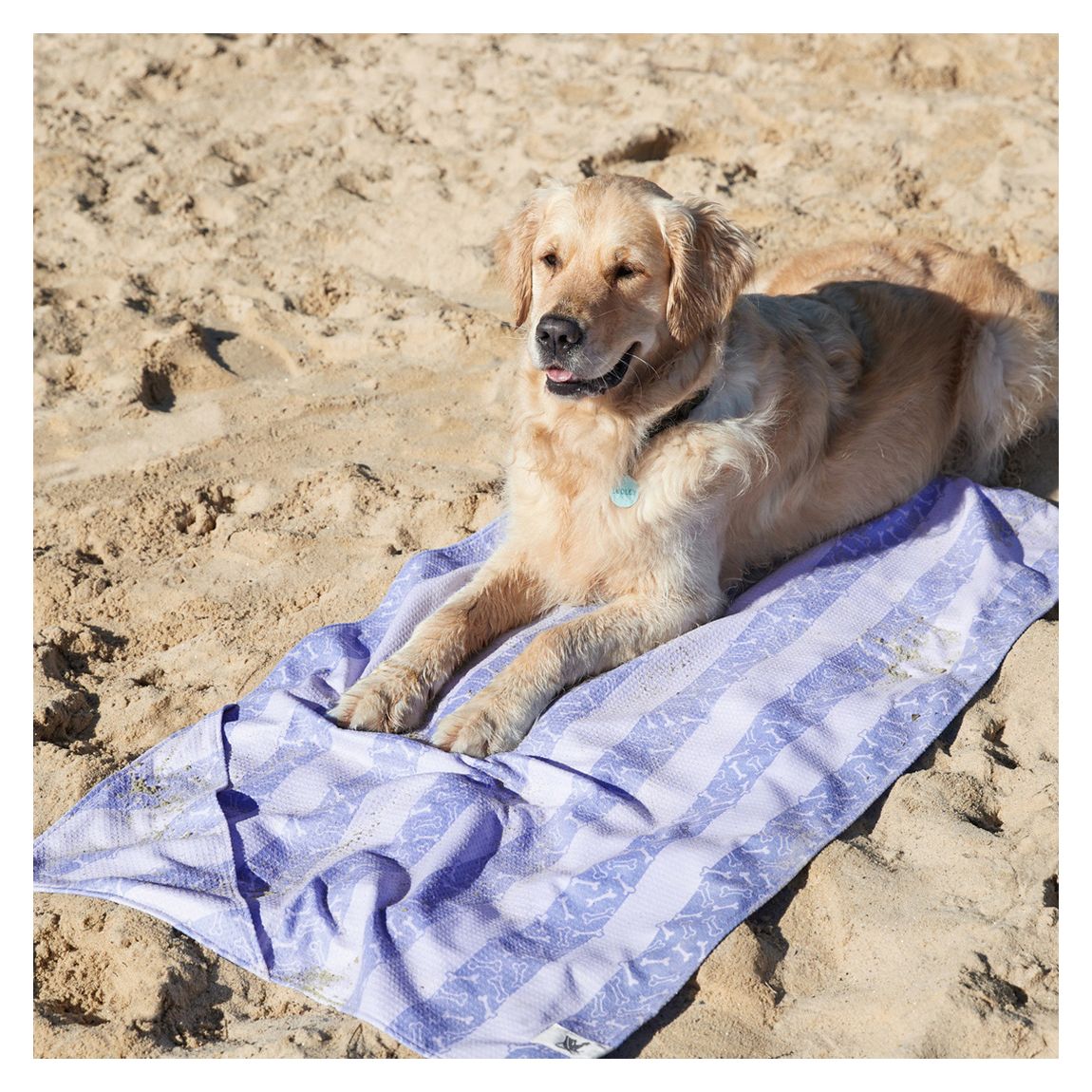Dog Towel, Large, Pawfect Purple main product photo