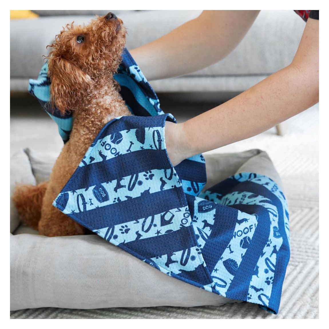 Dog Towel, Medium, Bark Blue main product photo