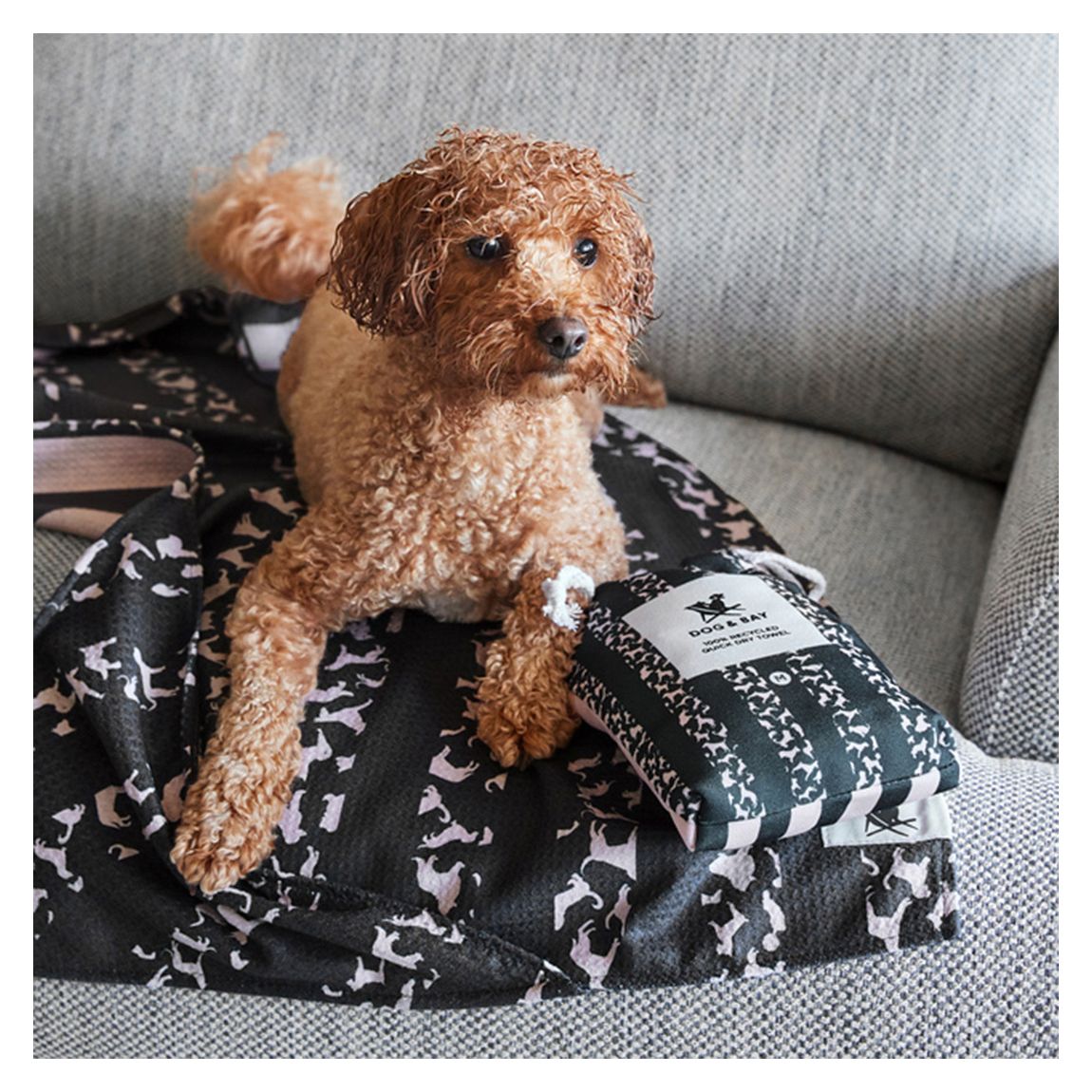 Dog Towel, Medium, Walkies in the Park main product photo