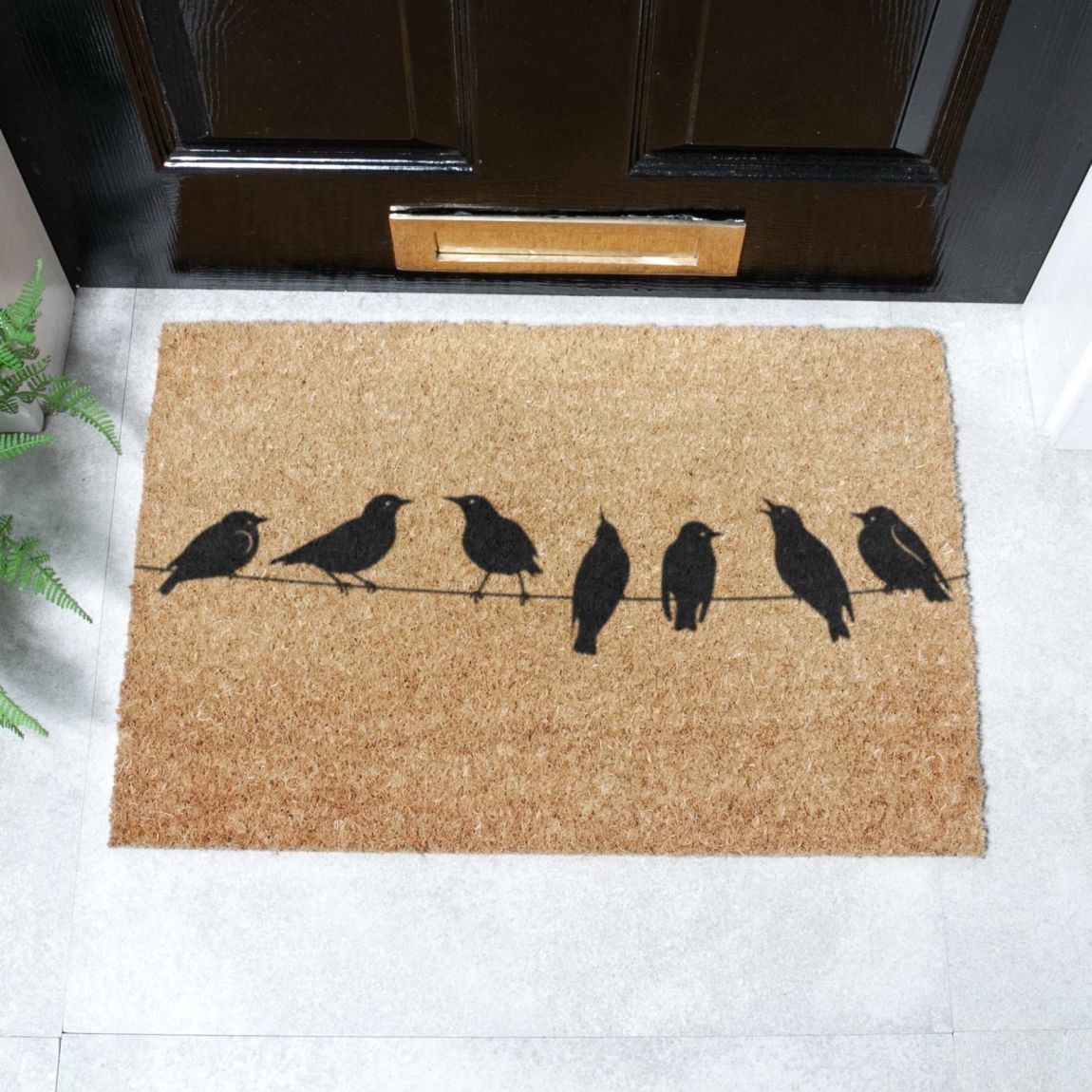 Birds On Wire Doormat 60x40cm main product photo