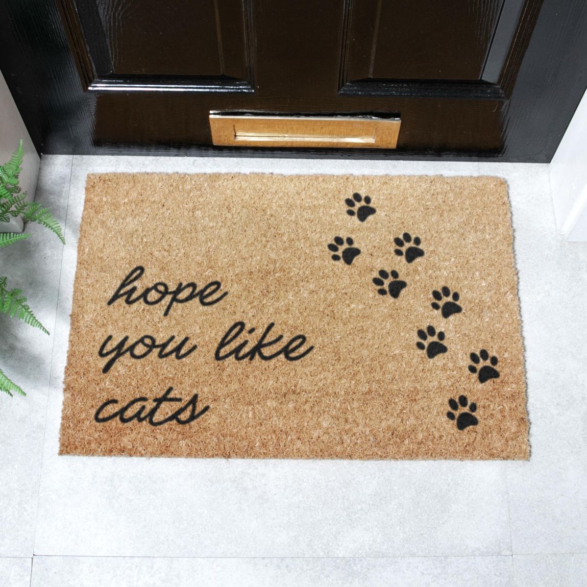 Hope You Like Cats Doormat 60x40cm main product photo