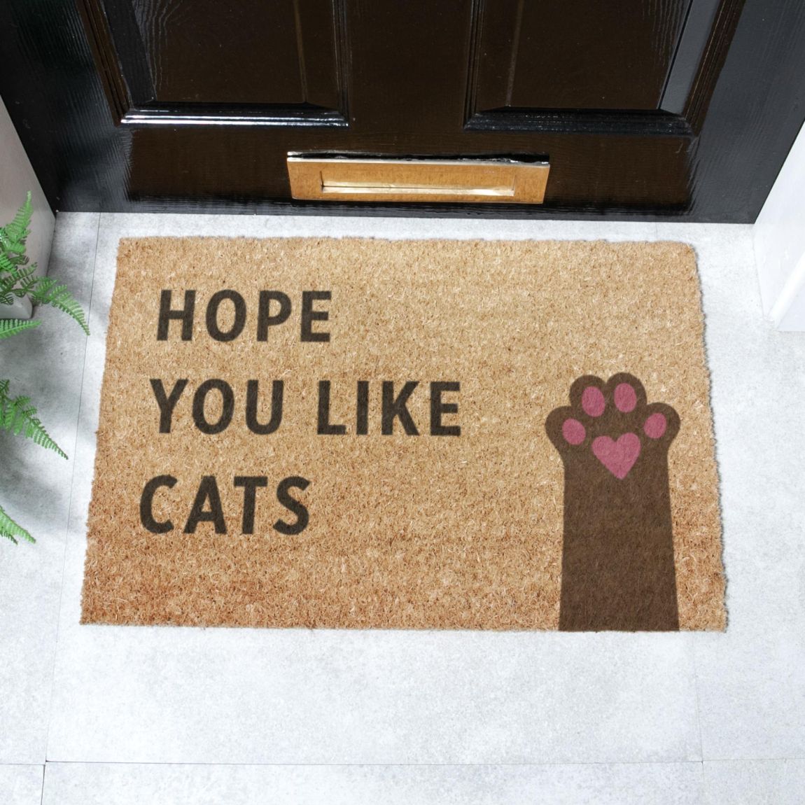 Hope You Like Cats Doormat 60x40cm main product photo