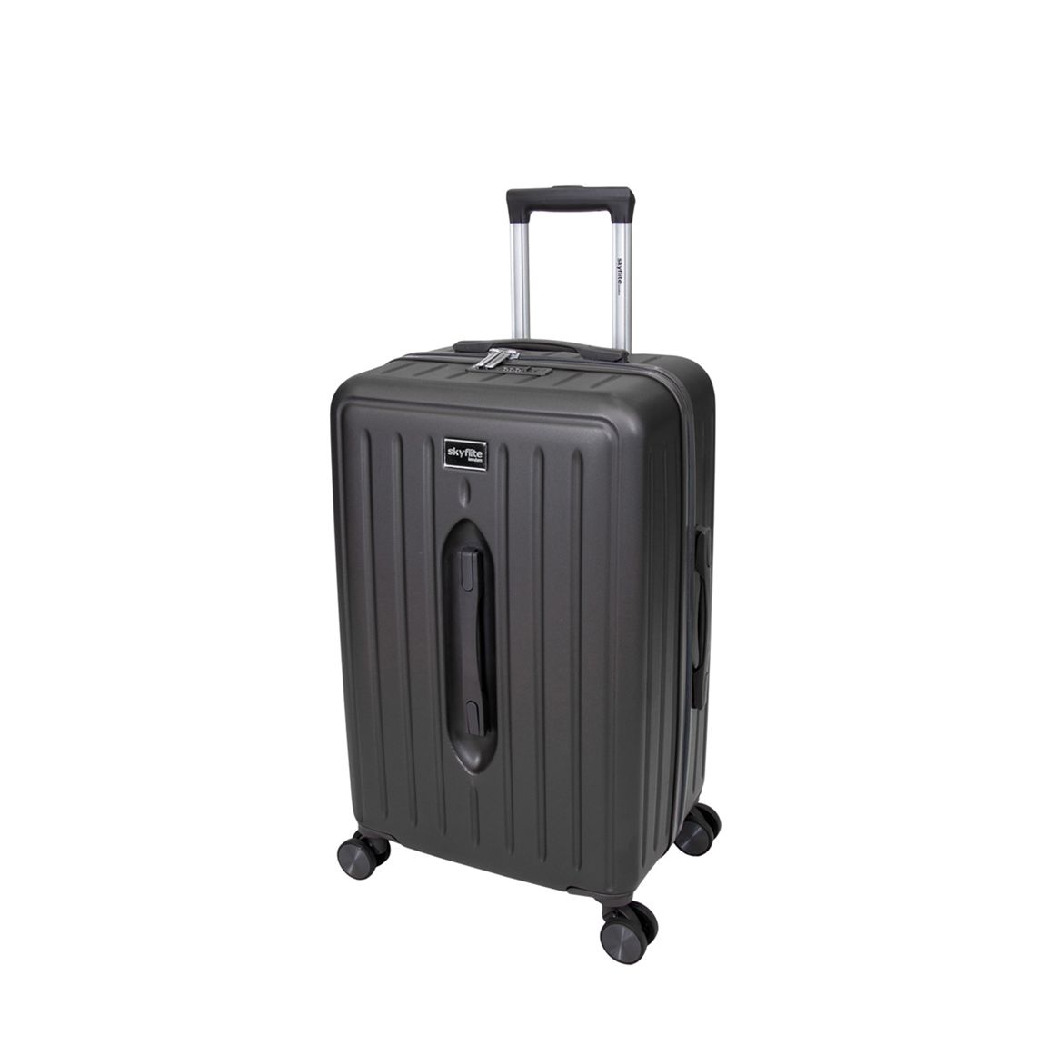 Charcoal Modern Trunk 67cm Medium Single Suitcase main product photo