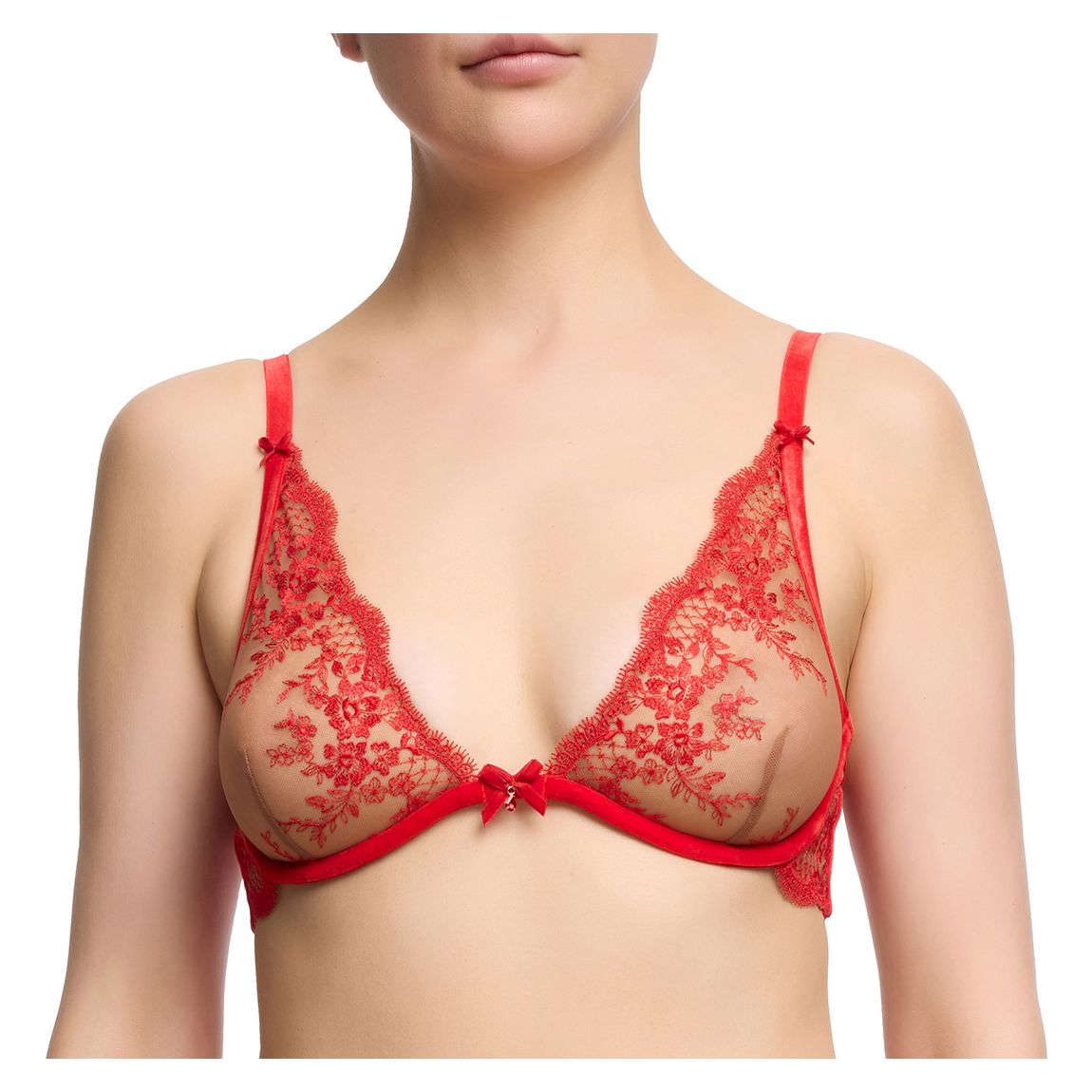 Lavinia Plunge Bra main product photo