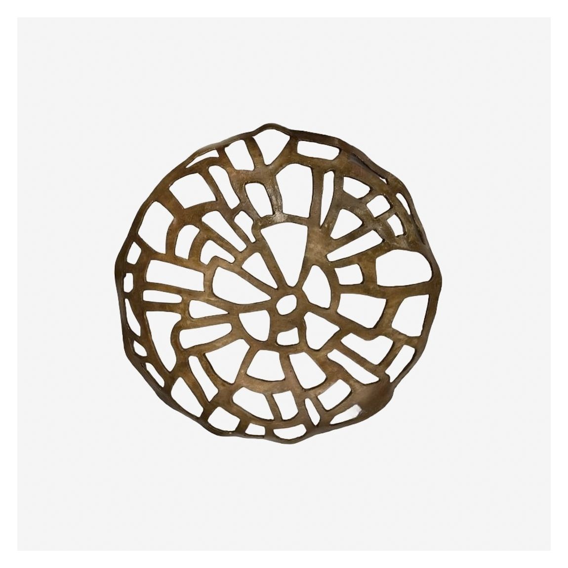 Coralina II Medium Wall Sculpture in Bronze Finish main product photo