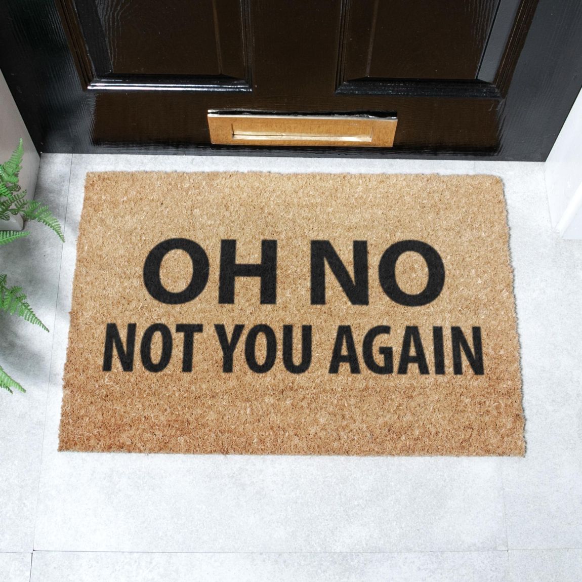 Not You Again Doormat 60x40cm main product photo