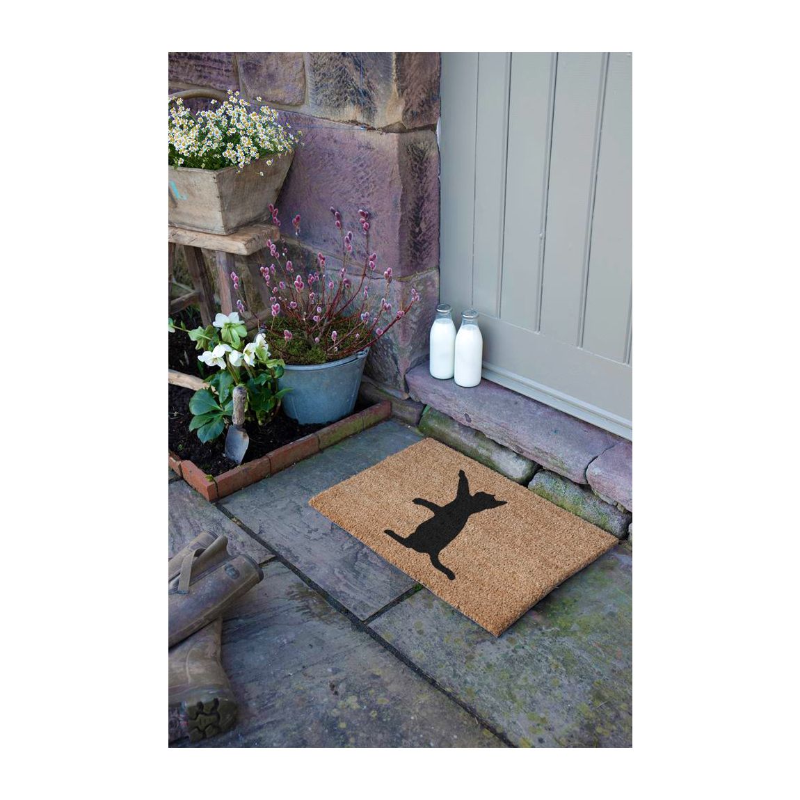 Cat Doormat 60x40cm main product photo