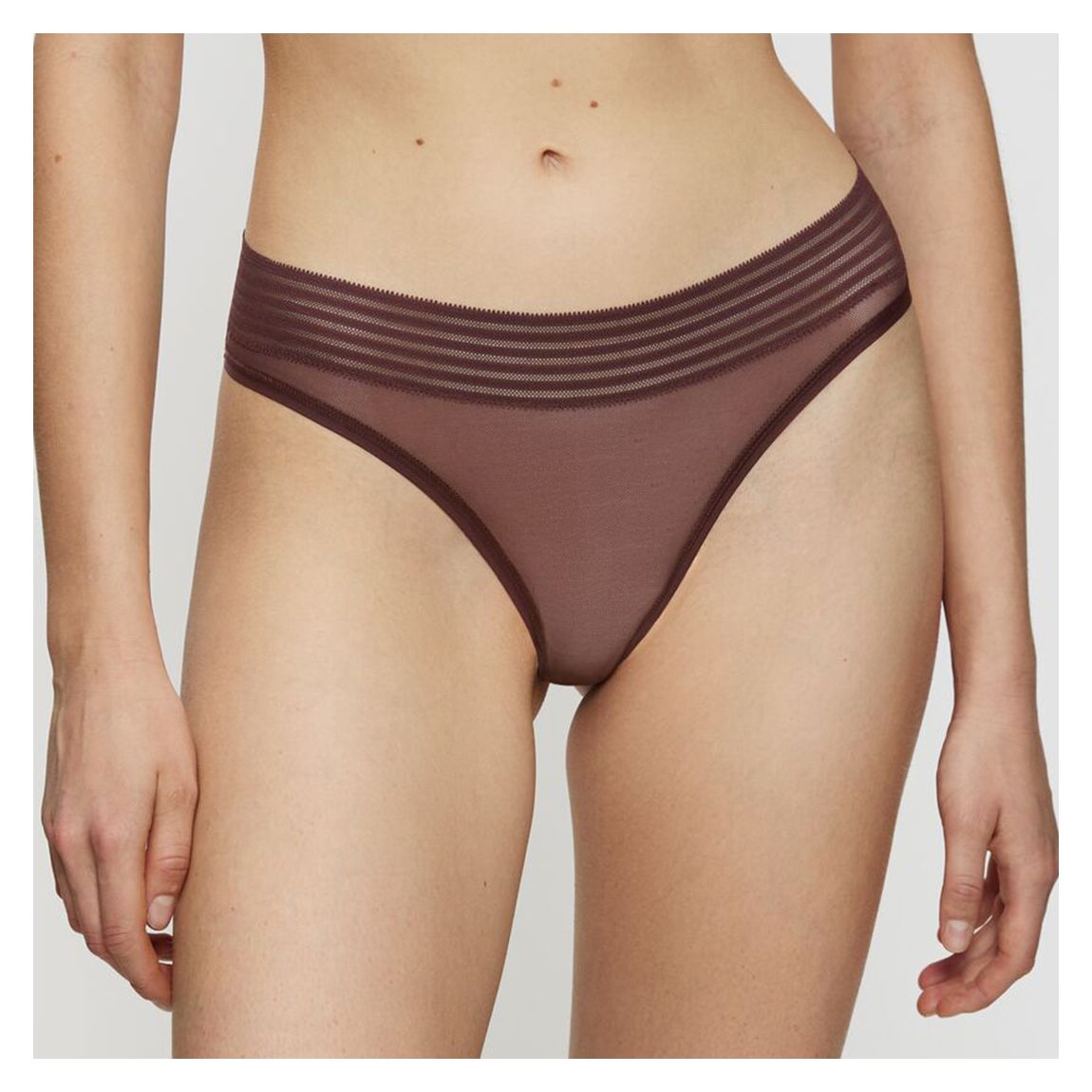 Tempting Sheer Highleg Knickers-2 Pack main product photo