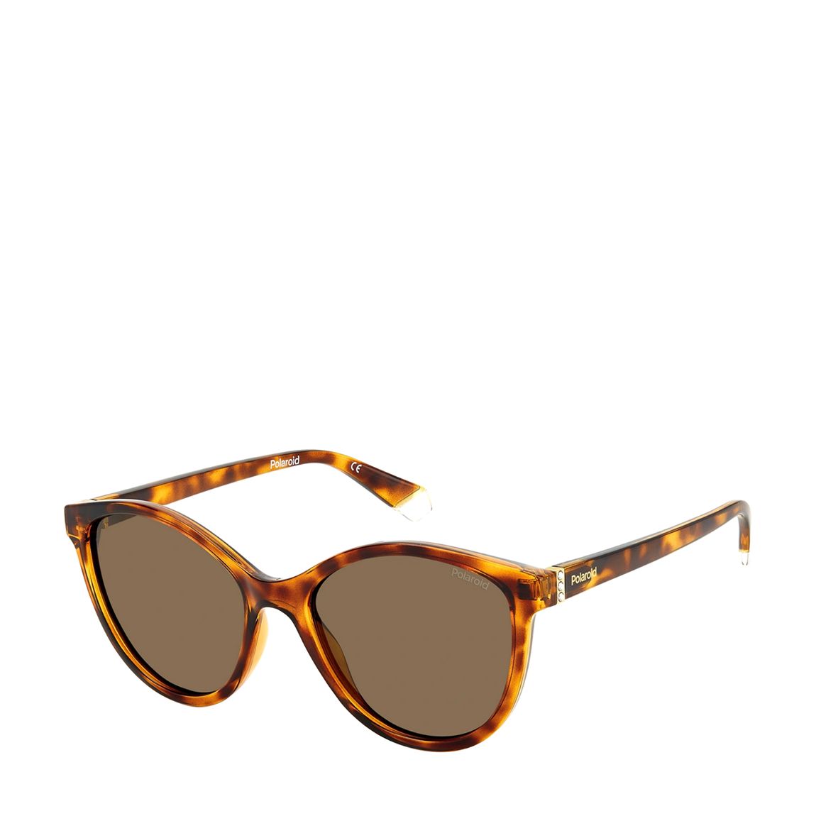 Brown Tortoise Shell Polaroid Sunglasses 55mm main product photo