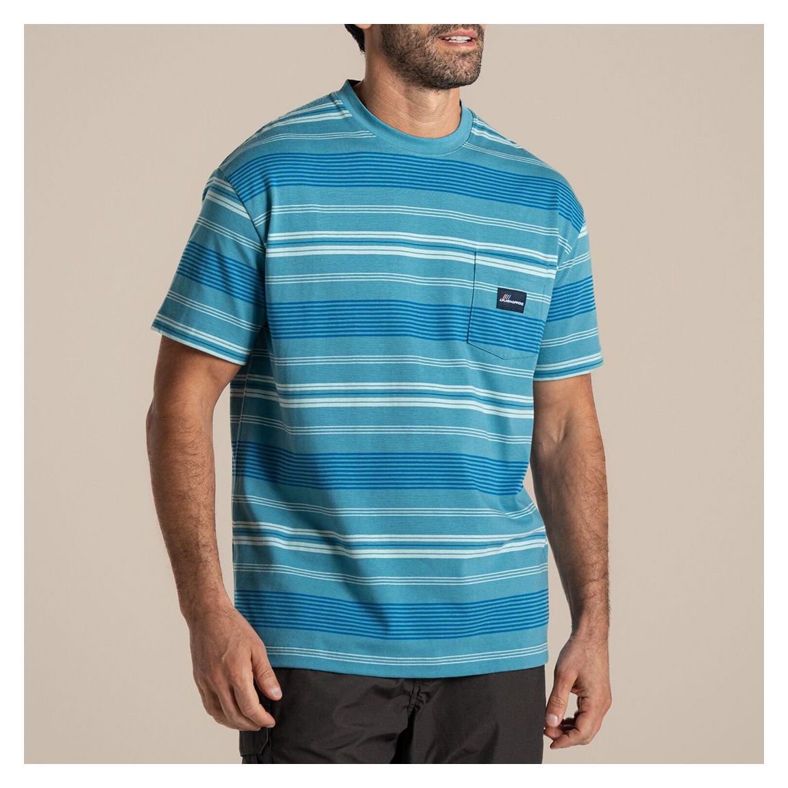 Blue/White Pointer Stripe Tee main product photo