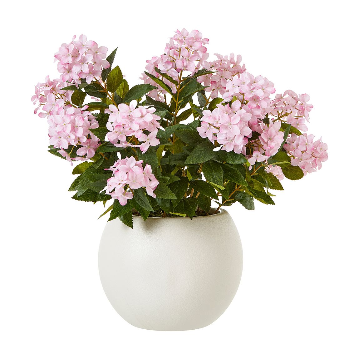 Large Hydrangea Plant In Pot, Pink main product photo