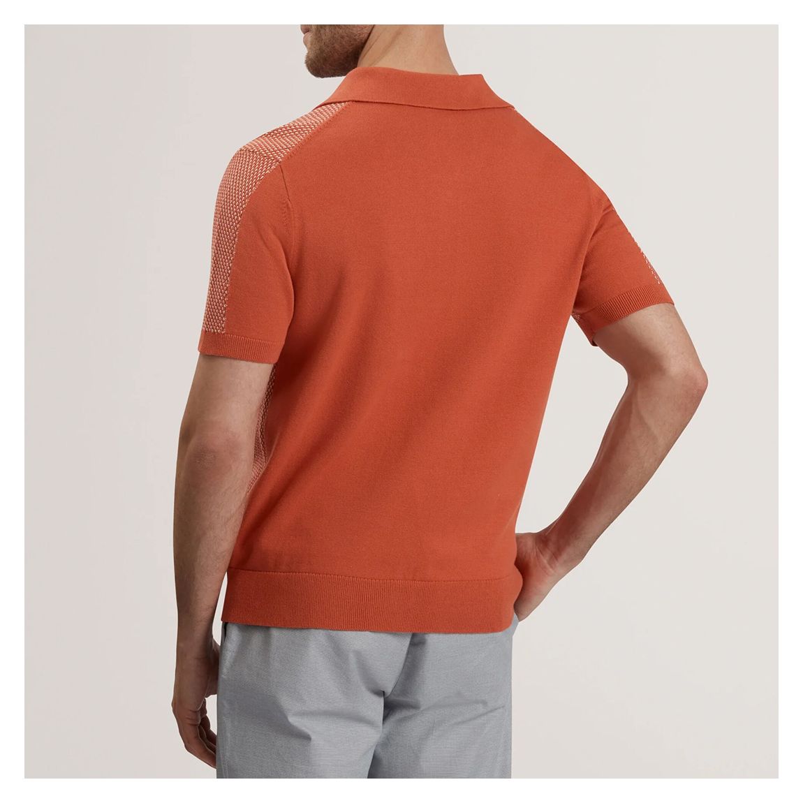 Red Gregry Small Stitch Knitted Polo Shirt main product photo