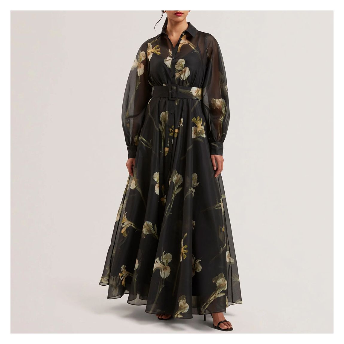 Black Liorral Printed Organza Maxi Dress main product photo