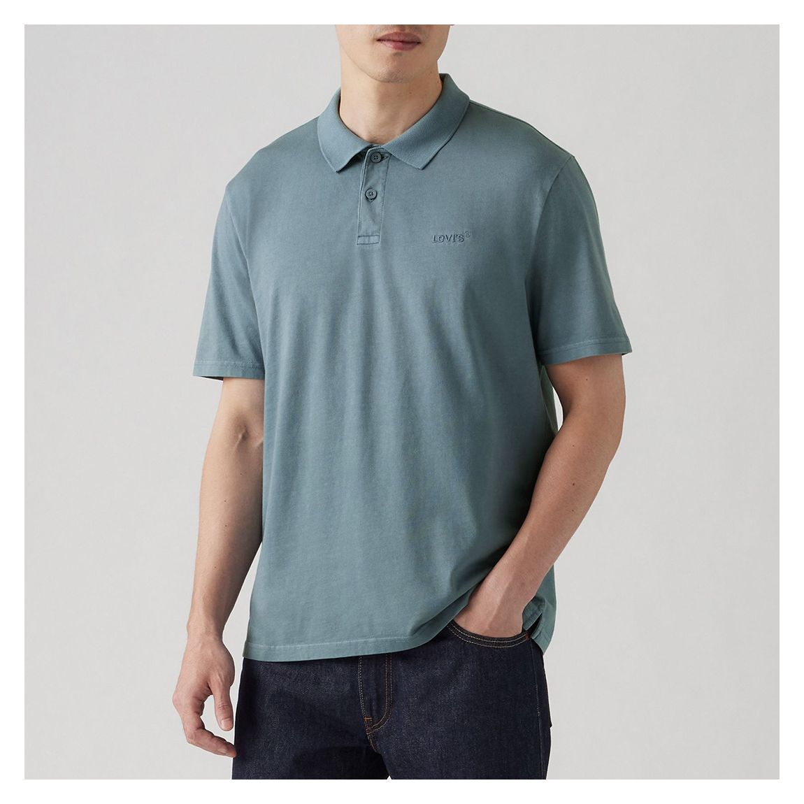 Blue Embroidered Cotton Polo Shirt main product photo