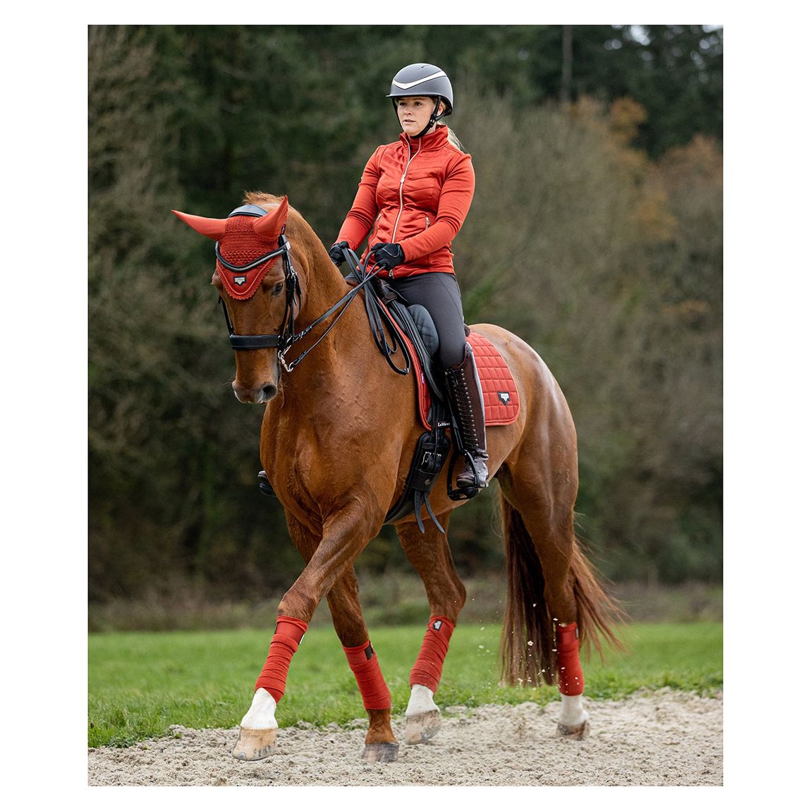 Sienna Loire Classic Dressage Square main product photo