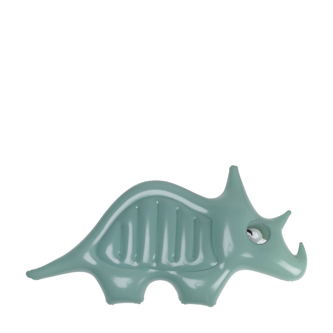 Dinosaur Float main product photo