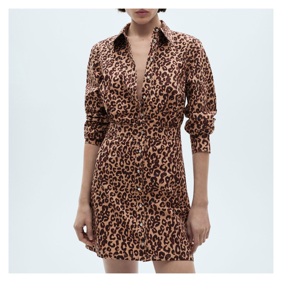 Brown Leopard-Print Shirt Dress main product photo