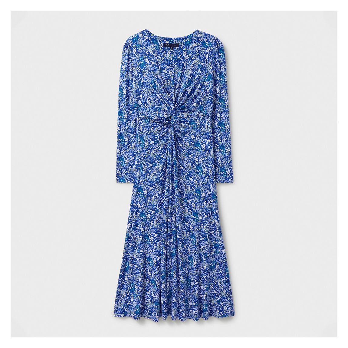 Blue Ditsy Floral Cinched Bodice Dress main product photo