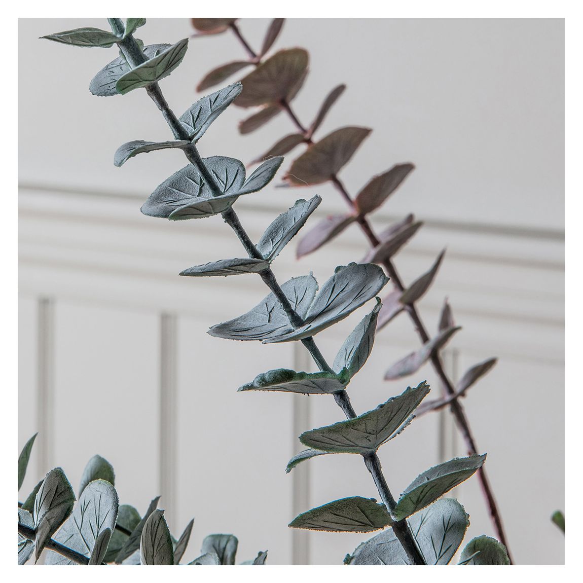 Set of 6 Eucalyptus Sprays, Dusky Grey main product photo