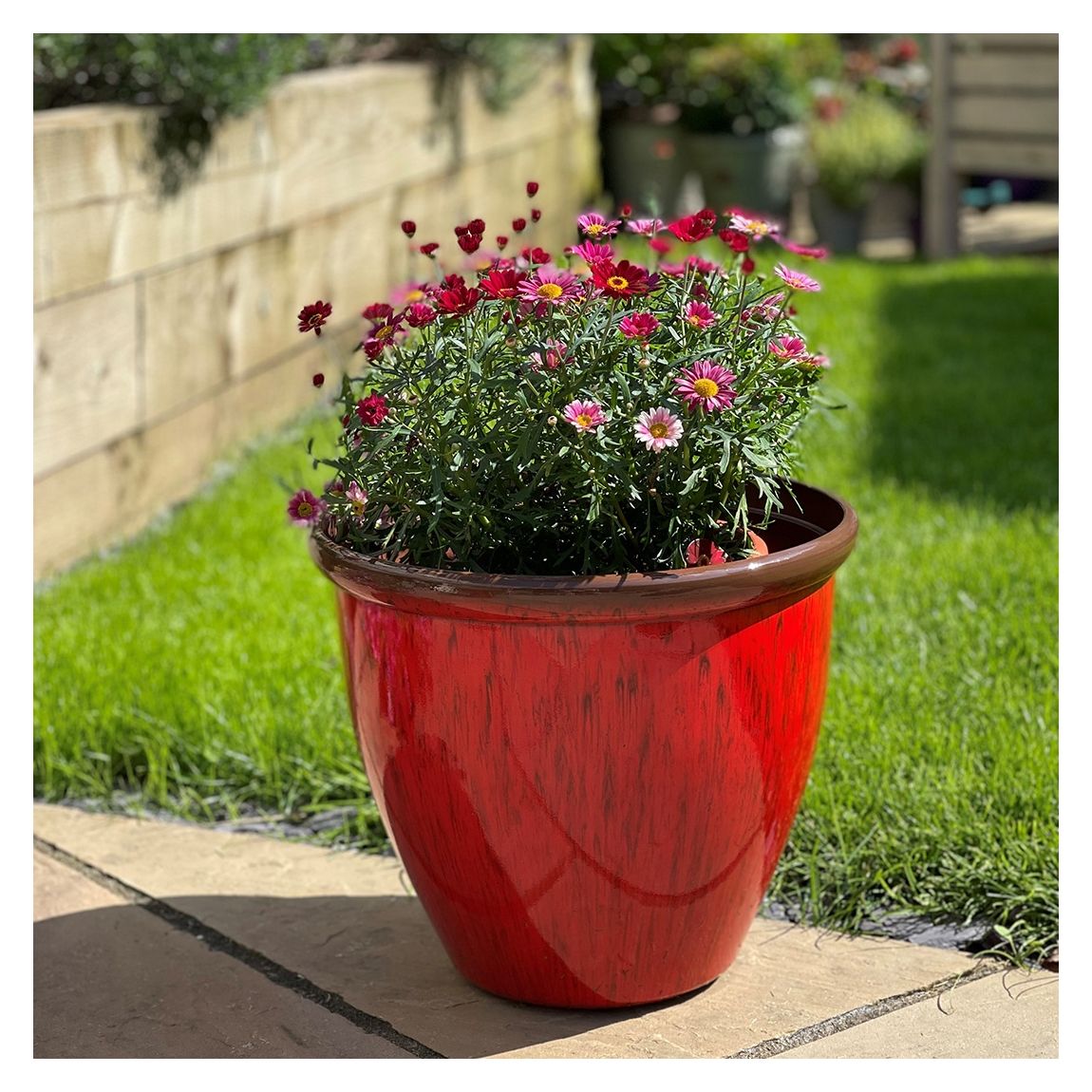 30cm Running Glaze Planter - Red main product photo