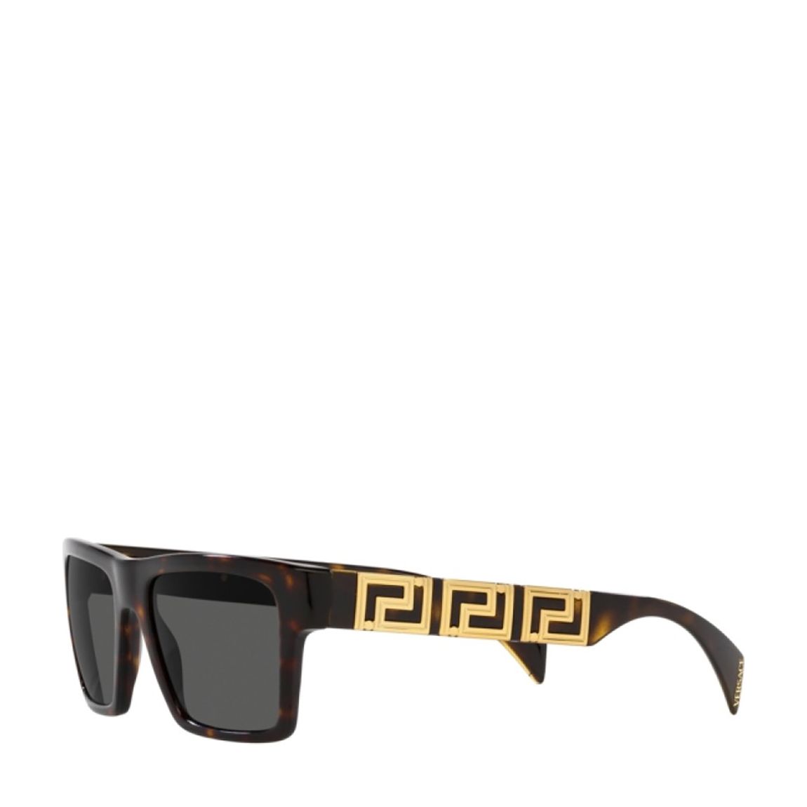 Versace Men's 54mm Havana Sunglasses main product photo