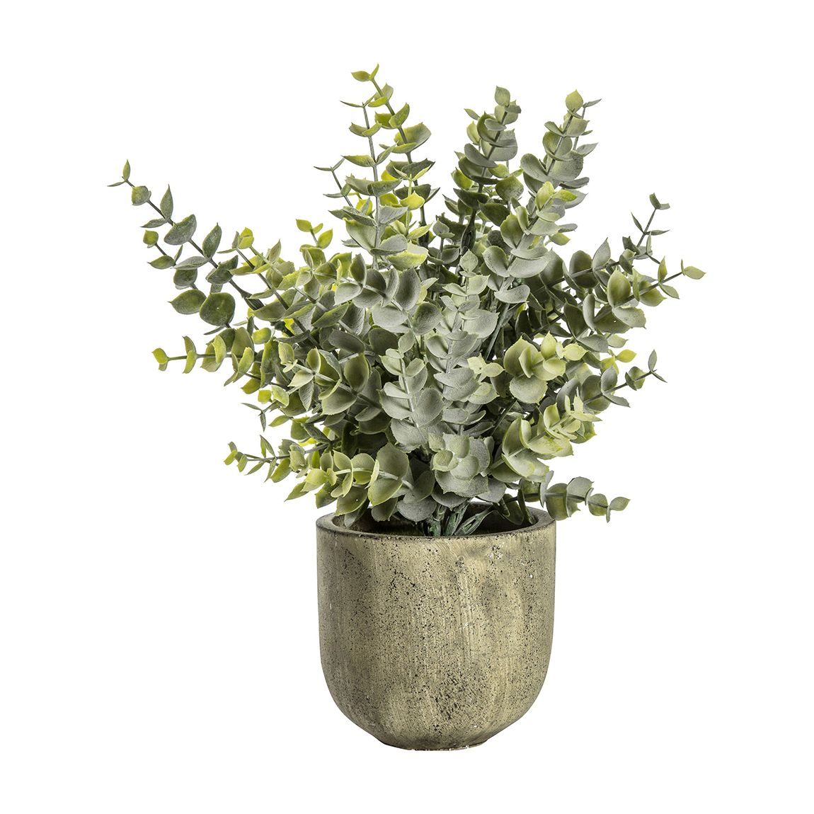 Eucalyptus with Rustic Pot Large 25x25x26cm main product photo