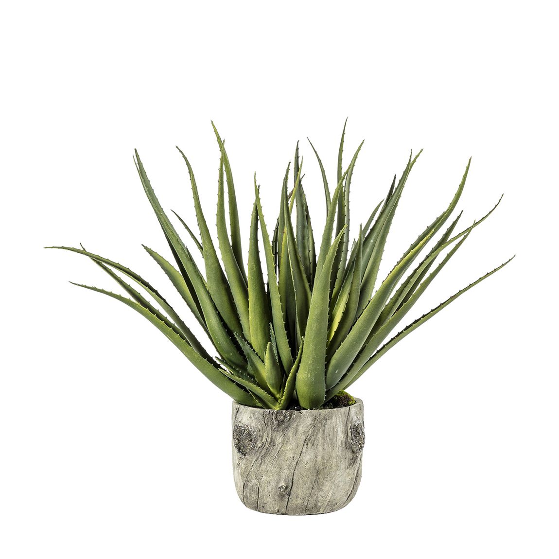 Aloe w/Bark Effect Pot 350x350x530mm main product photo