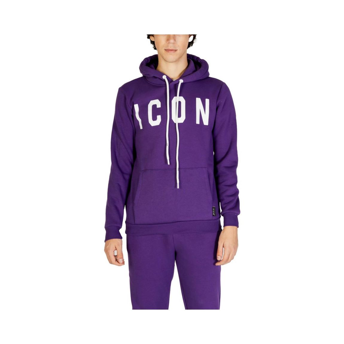 Purple ICON Hoodie Model IC15262700151RO Sweaters main product photo