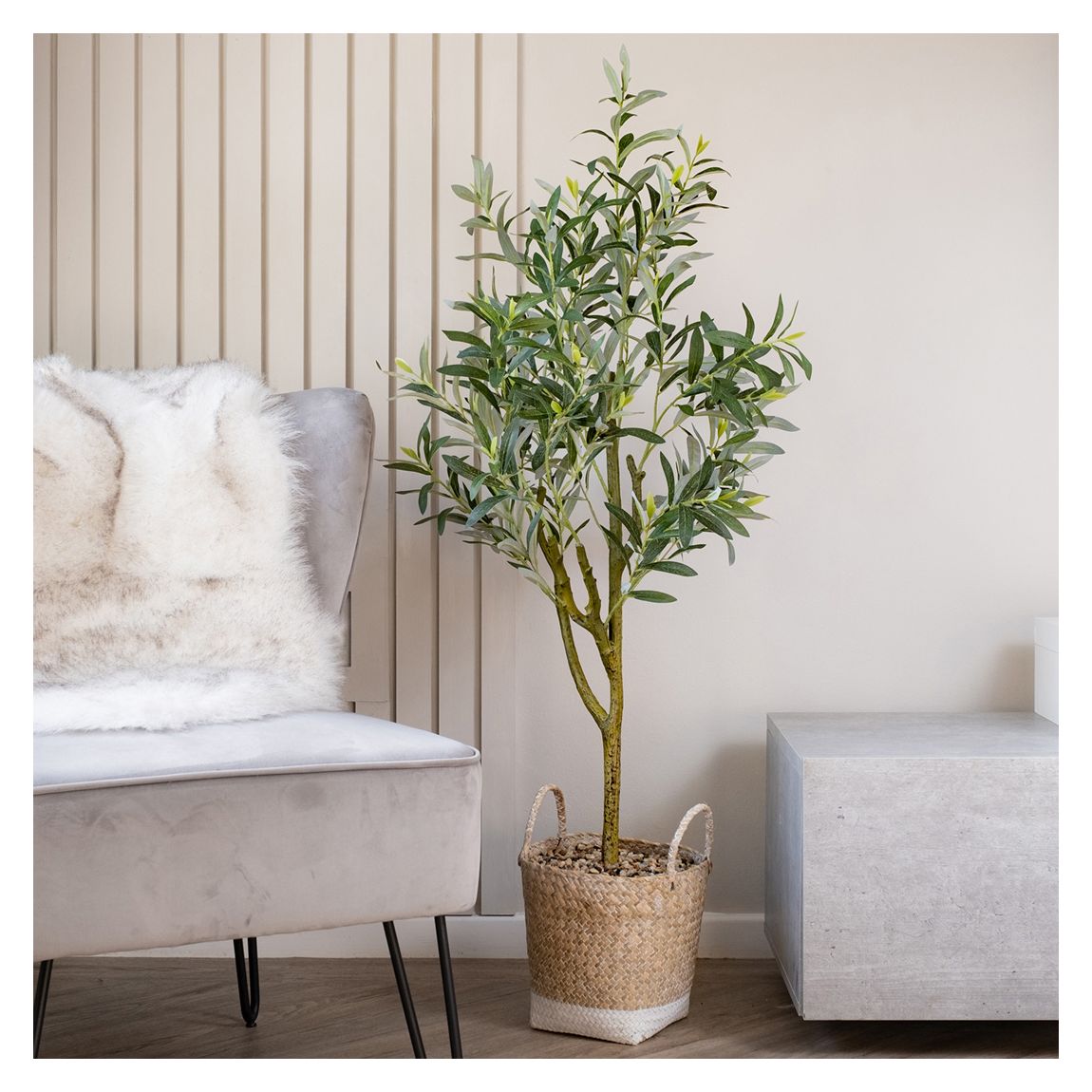 Olive Tree in Basket, 120cm main product photo
