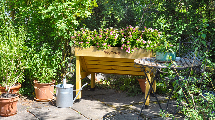 VegTrug: Grow Your Own